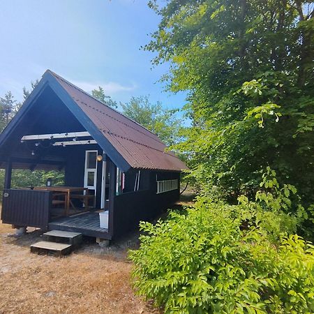 Tranum Klit Camping Og Hytteudlejning Brovst ภายนอก รูปภาพ